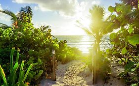 All Inclusive Beachfront Villa In Tulum Beach